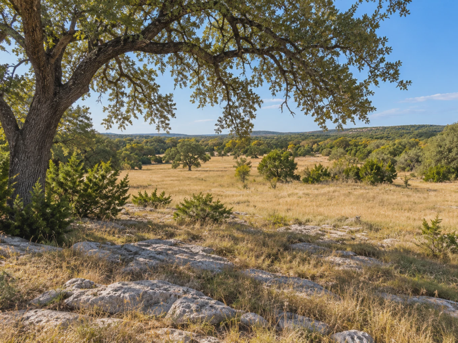 Oak Shade Parker Rural Holding [Demo] — image 1