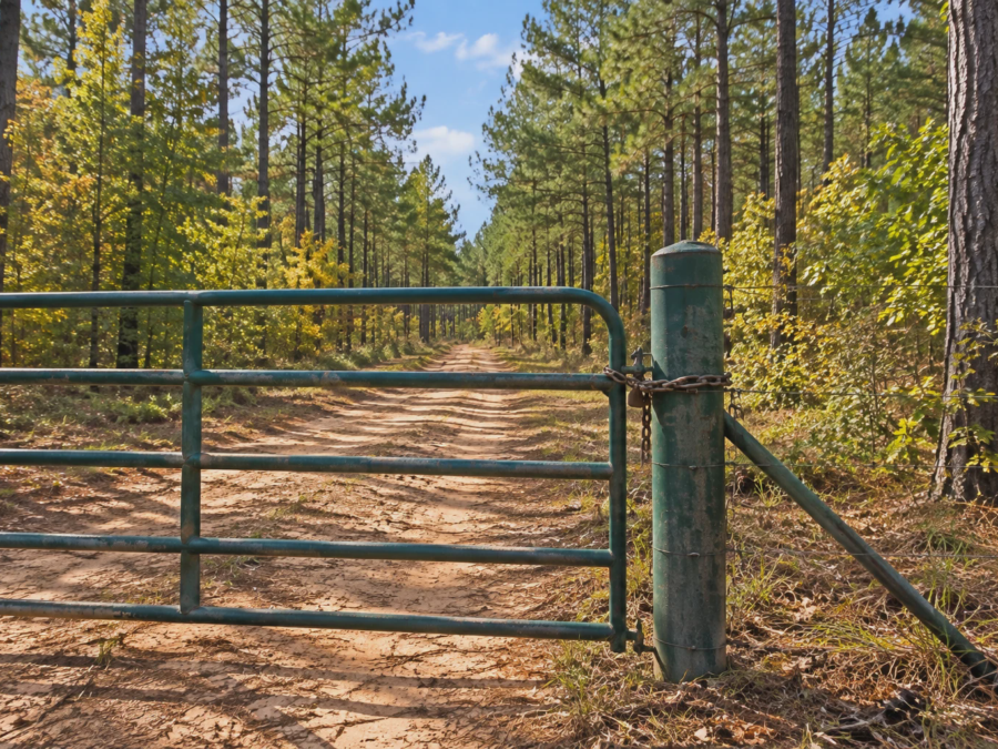 Open Range Anderson Woodland Tract [Demo] — image 1