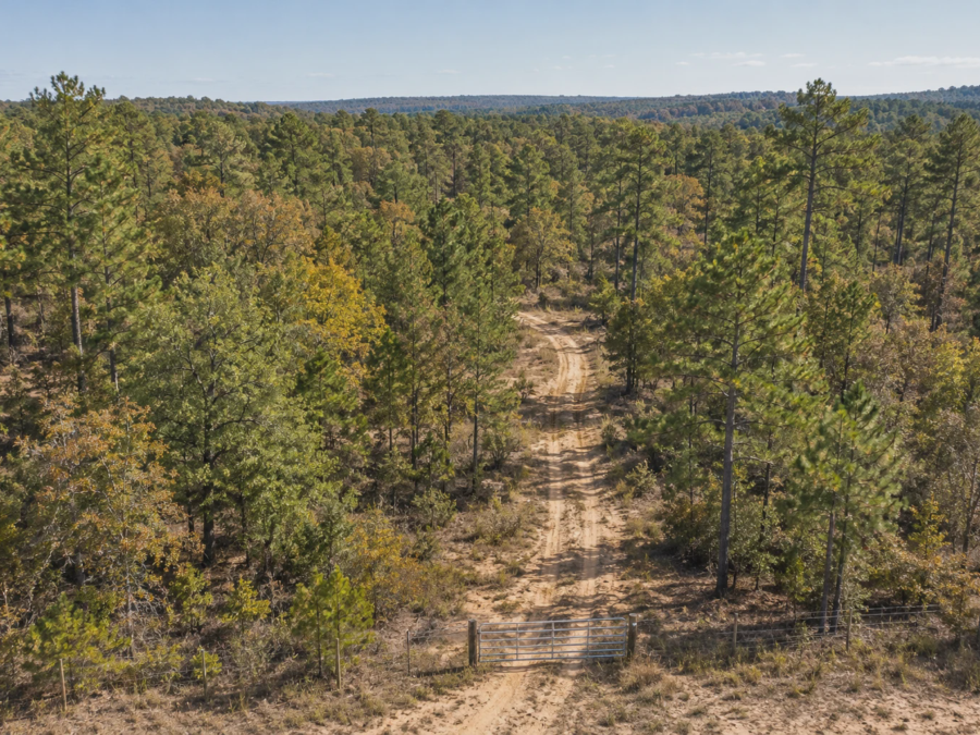 Stone Gate Bastrop Rural Holding [Demo] — image 1