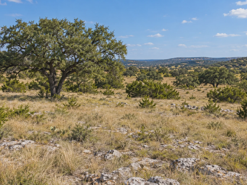 Open Range Llano Recreation Tract [Demo]