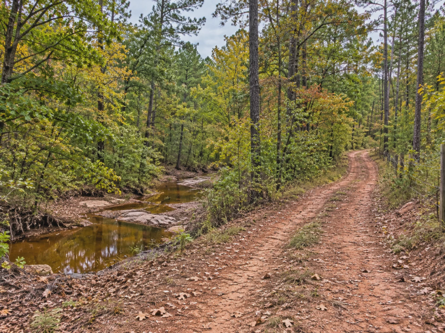 Sundown Bastrop Woodland Tract [Demo] — image 1