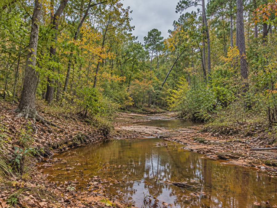 Boundary Post Jasper Woodland [Demo] — image 1
