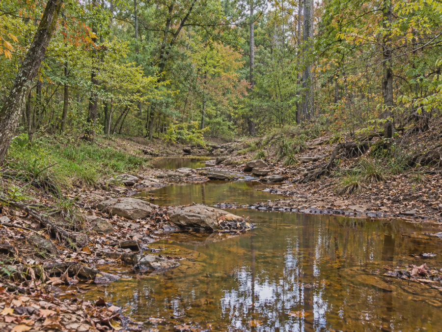 North Fork Nacogdoches Woodland Tract [Demo] — image 1