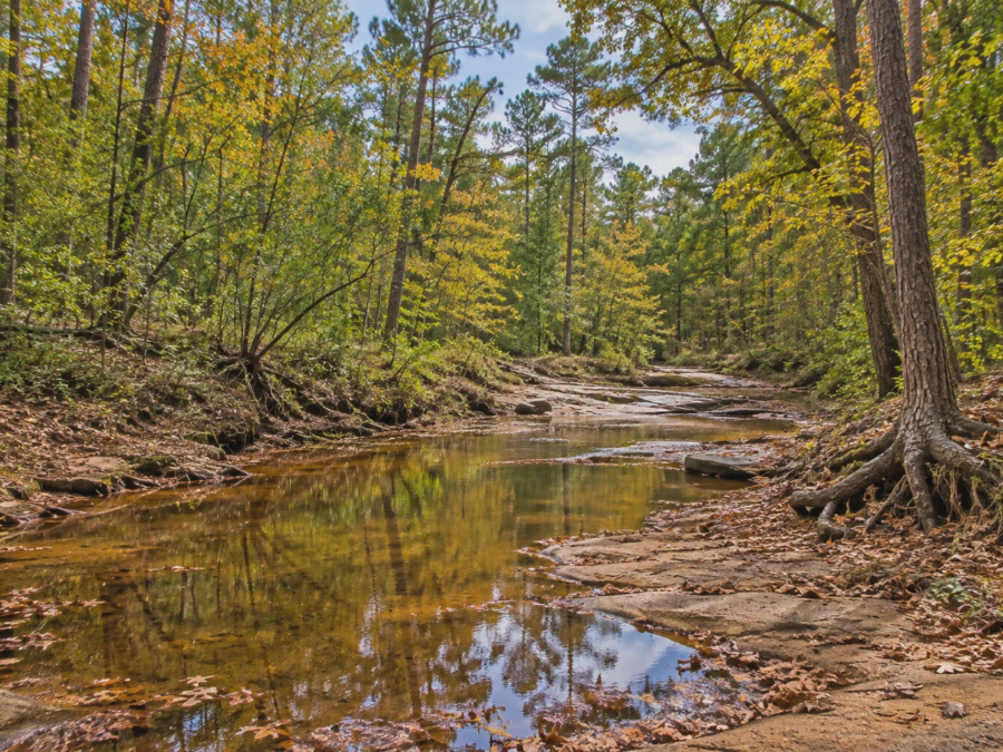 Far View Tyler Woodland [Demo] — image 1