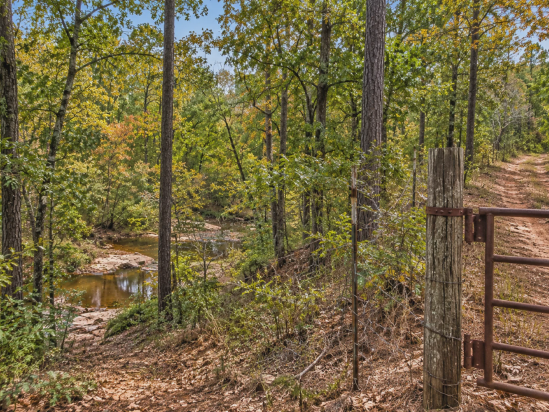Sunrise Nacogdoches Woodland Tract [Demo]